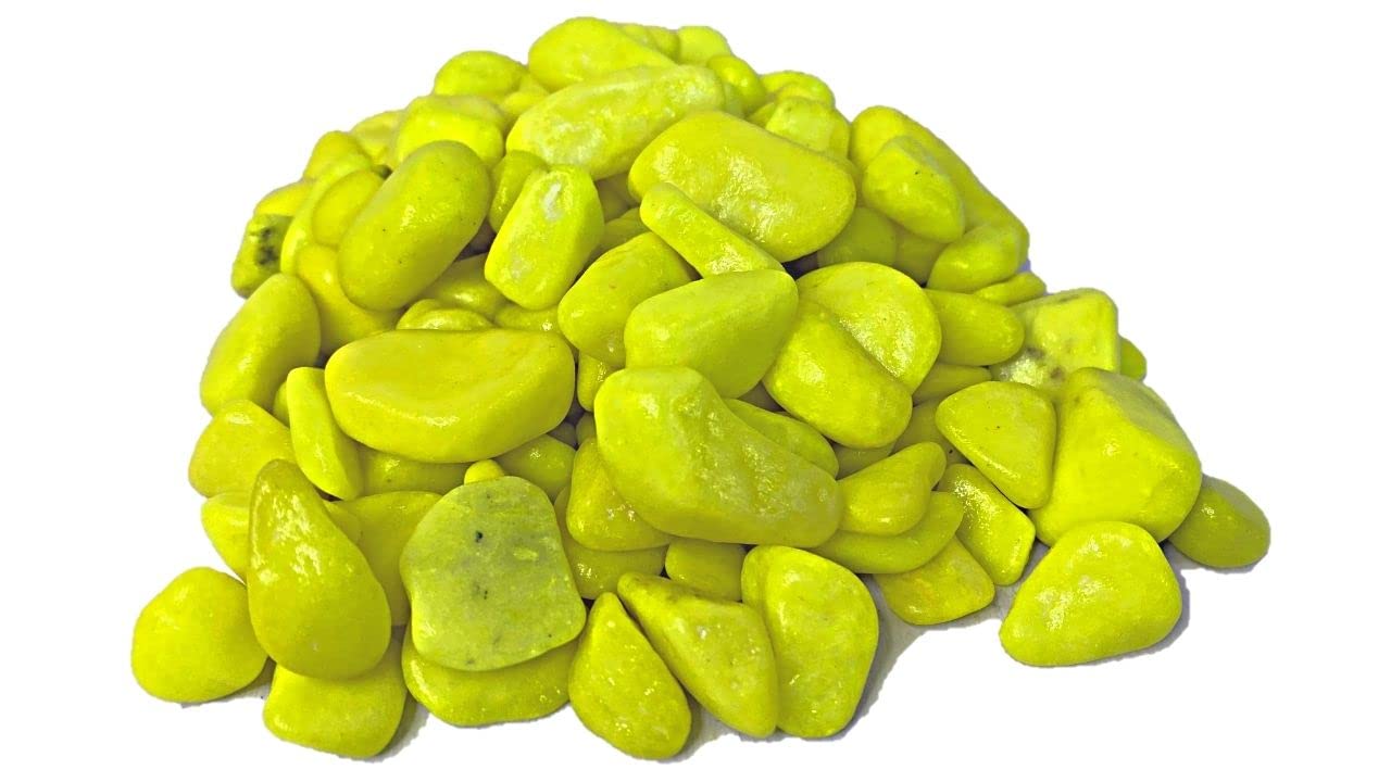 Neon Decorative Pebbles