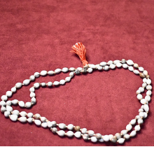 Vaijanti Mala